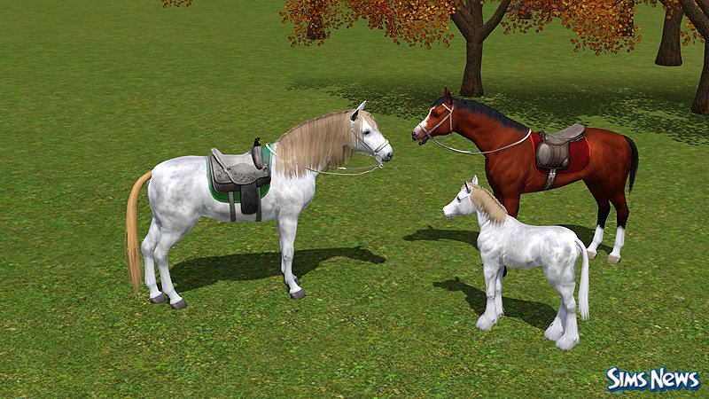 Уздечки Для Лошадей В Симс 3 В Формате Sims3pack