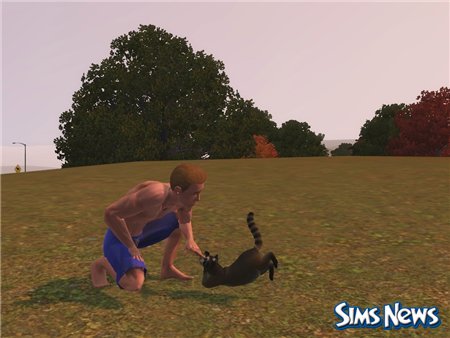 Гривы Для Лошадей В Sims 3 Питомцы