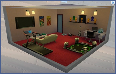 Карьера спортсмена в The Sims 4