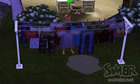 Стирка в The Sims 3: Карьера