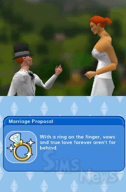 10 скринов The Sims 3 для Nintendo DS