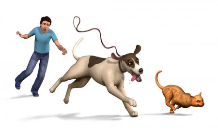 Симс 4 Питомцы: новые анимационные коды для кошек и собак