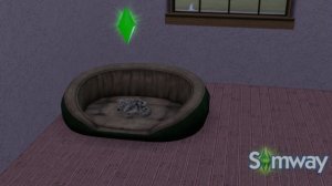 The Sims 3 Питомцы – Новые объекты и взаимодействия