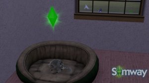 The Sims 3 Питомцы – Новые объекты и взаимодействия