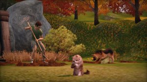 The Sims 3 Питомцы – особенности Limited Edition