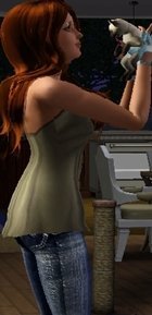 Как завести питомца? Приюты для домашних любимцев в The Sims 3 Питомцы
