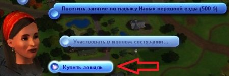 Как завести питомца? Приюты для домашних любимцев в The Sims 3 Питомцы