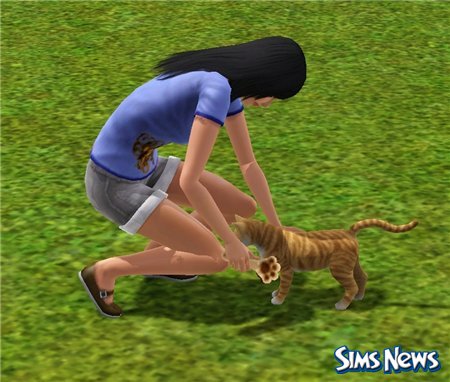 Кошки в The Sims 3 Питомцы
