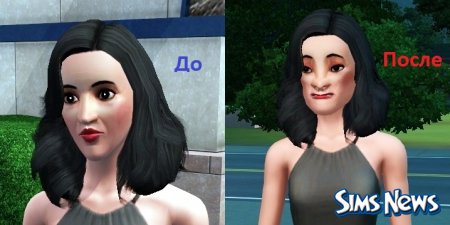 Возможности пластической хирургии в The Sims 3 Питомцы
