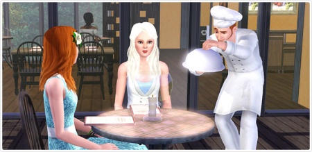 Бистро "Обычный бизнес" в The  Sims 3