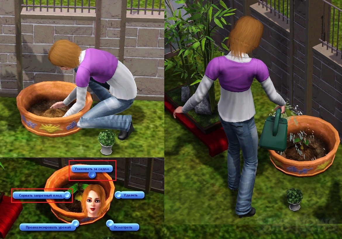 Симс голод. SIMS 3 семечко запретного плода. Семена запретного плода в симс 3. Клумба в симс 3.