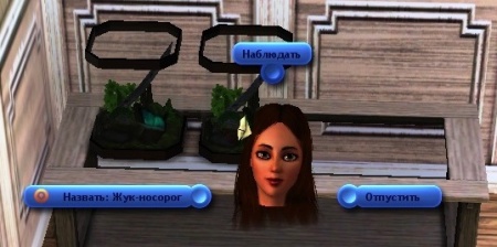 Коллекционирование в The Sims 3
