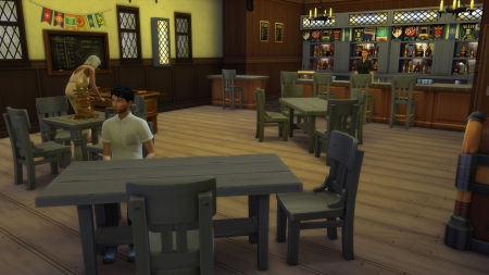 Путеводитель по Винденбургу в The Sims 4 Веселимся вместе!