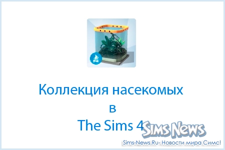 Насекомые в The Sims 4. Собираем коллекцию