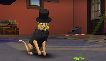 Обзор дополнения  The Sims 4 Кошки и собаки